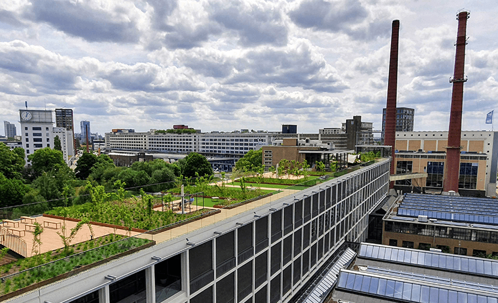 SyncForce - Office Strijp-T - Roof Garden