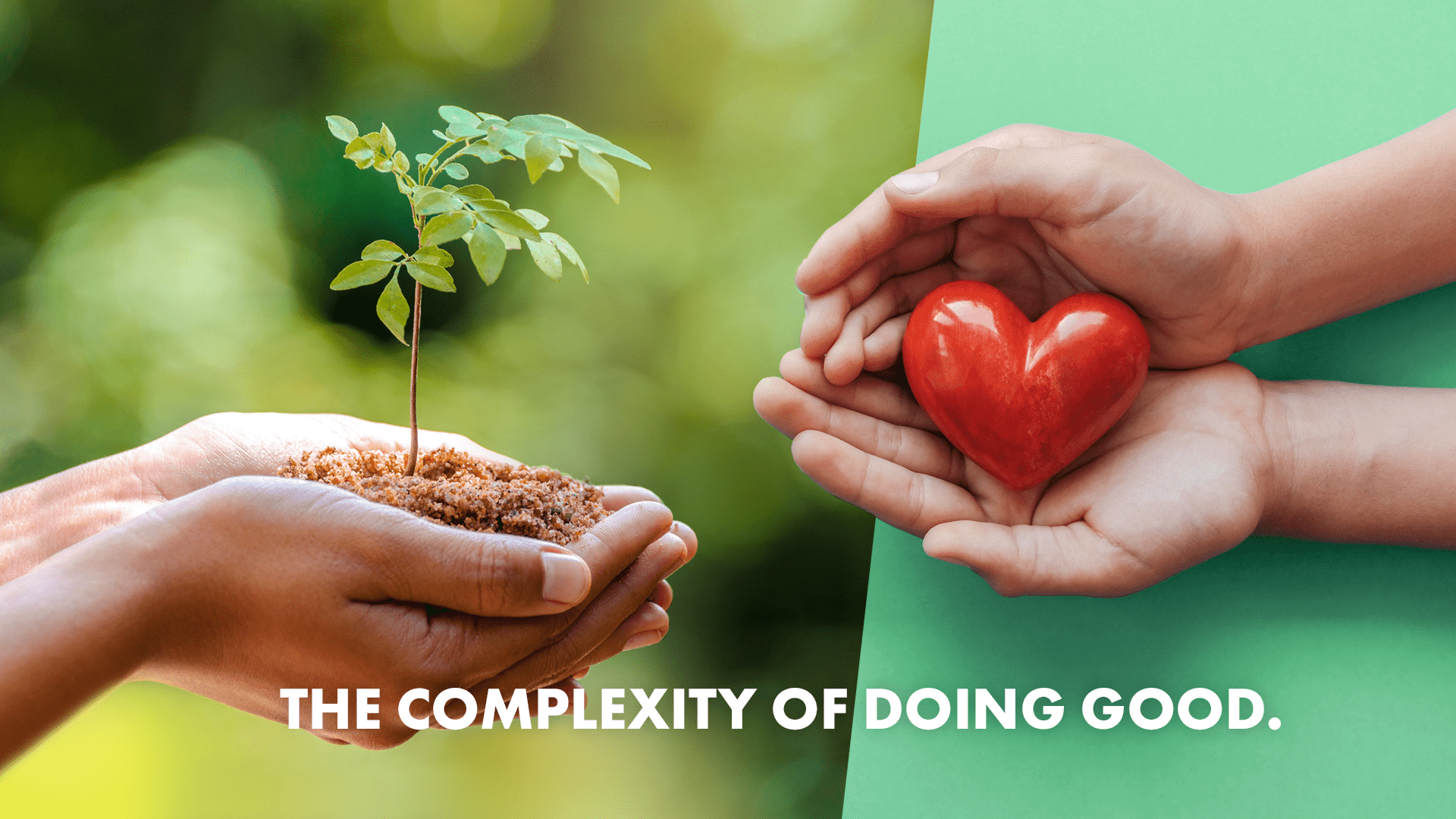 Good for the planet vs good for wellbeing one pair of hands protecting a small tree and another pair of hands protecting a hart